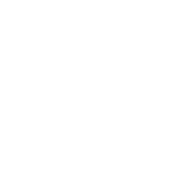 Conseil personnalisé